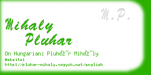 mihaly pluhar business card